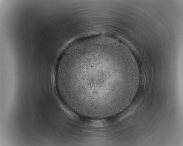 X0000115550446200911061536