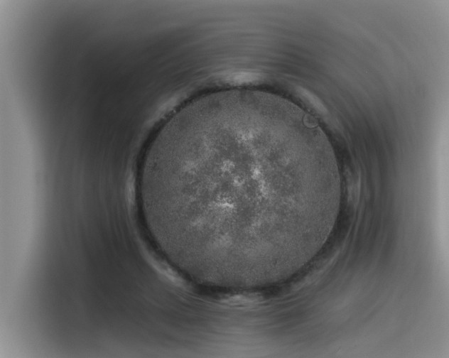 X0000115550447200911061536