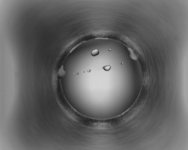 X0000115550448200911061536