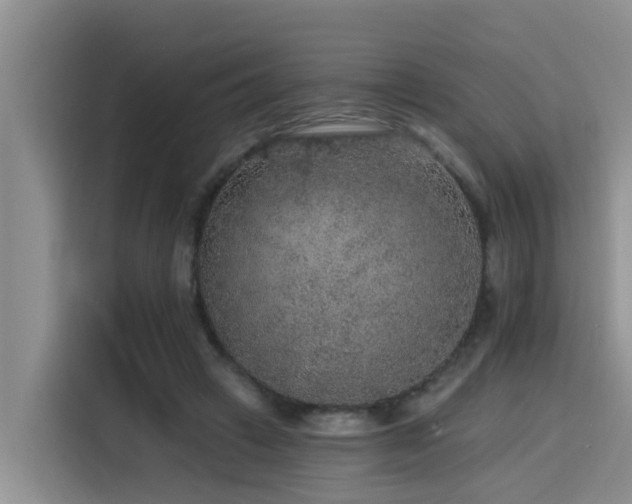 X0000115550449200911061536