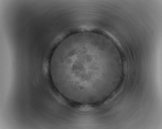 X0000115550451200911061536