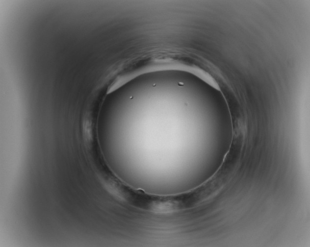 X0000115550452200911061536