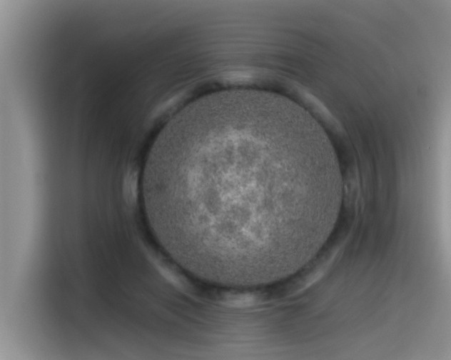 X0000115550454200911061536