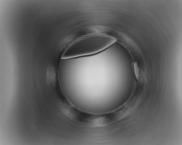 X0000115550456200911061536
