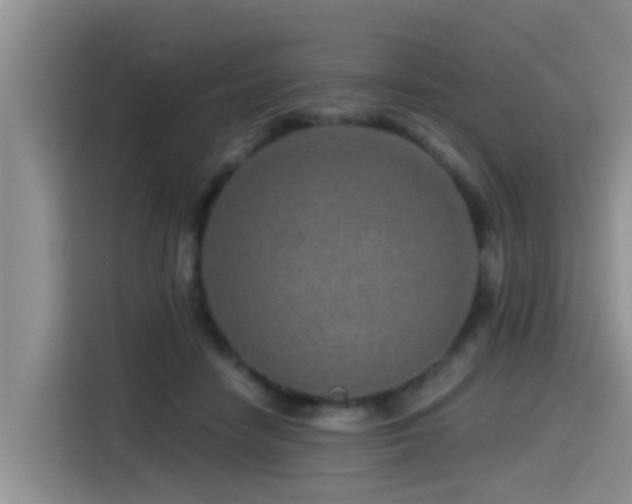 X0000115550458200911061536