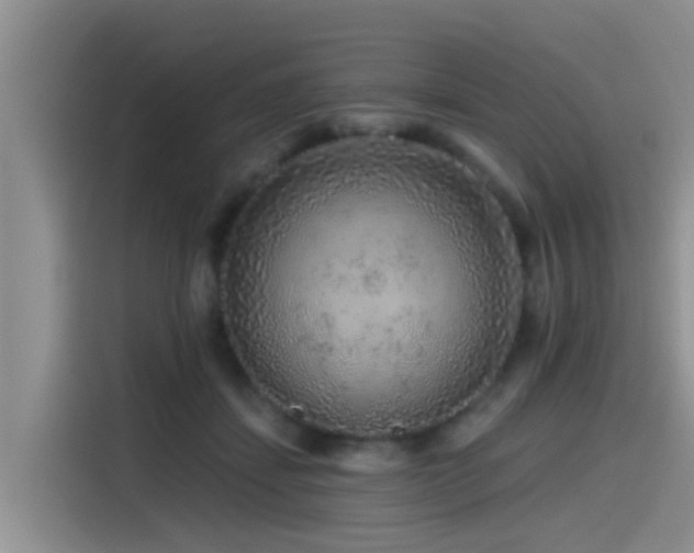 X0000115550459200911061536