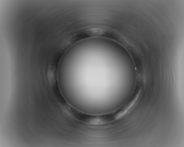 X0000115550460200911061536