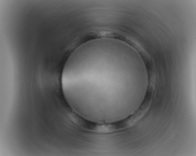 X0000115550461200911061536