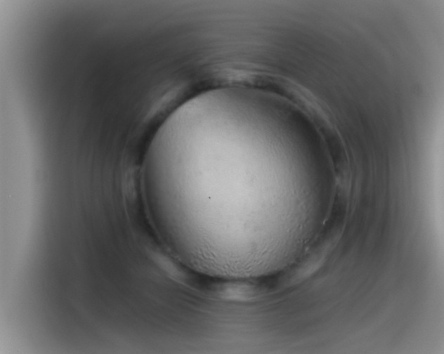 X0000115550462200911061536