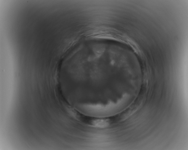 X0000115550465200911061536