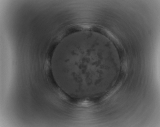 X0000115550467200911061536