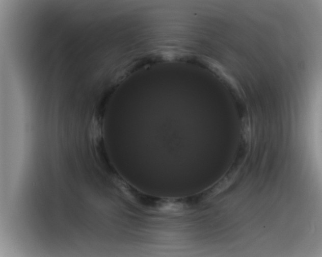 X0000115550471200911061536