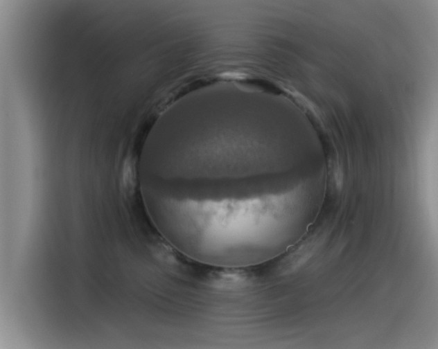 X0000115550475200911061536
