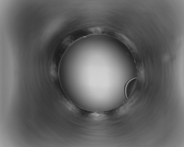 X0000115550477200911061536