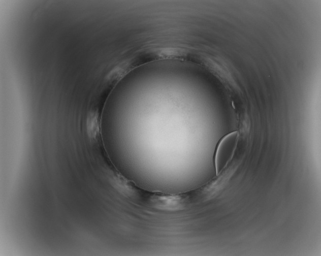 X0000115550478200911061536