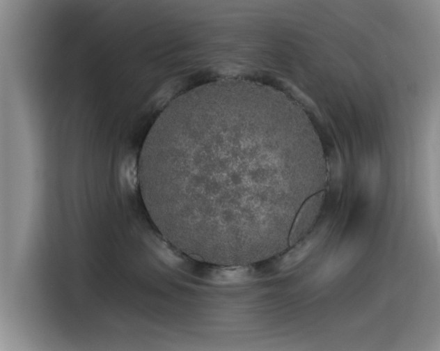 X0000115550479200911061536