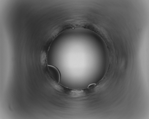 X0000115550480200911061536