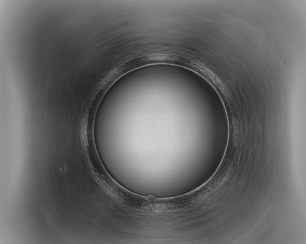 X0000115550482200911061536