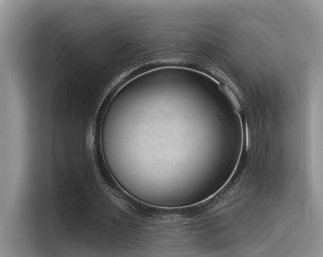 X0000115550483200911061536