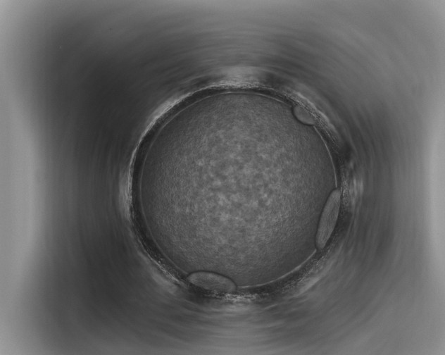 X0000115550484200911061536
