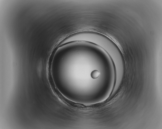 X0000115550485200911061536
