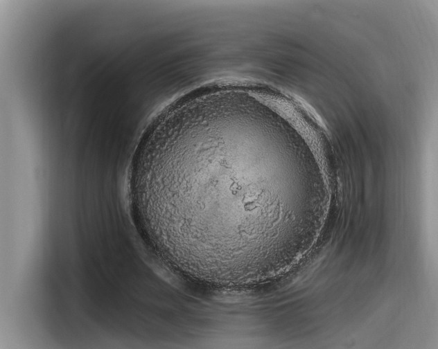 X0000115550487200911061536