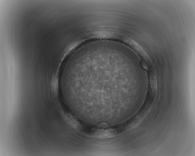 X0000115550488200911061536