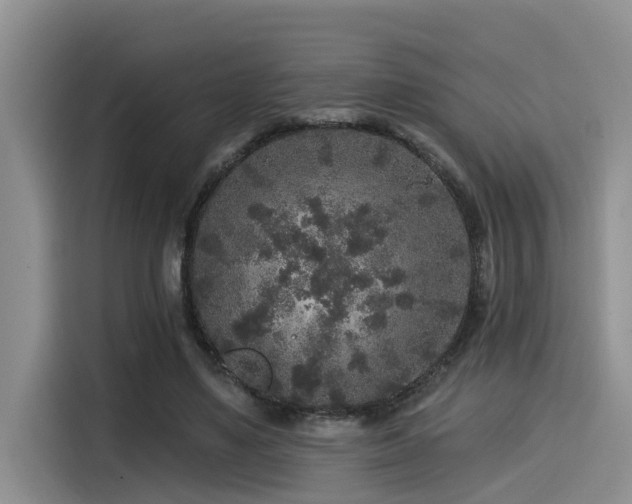 X0000115550491200911061536