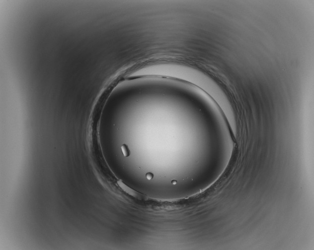 X0000115550492200911061536