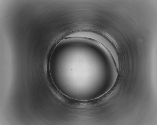 X0000115550493200911061536