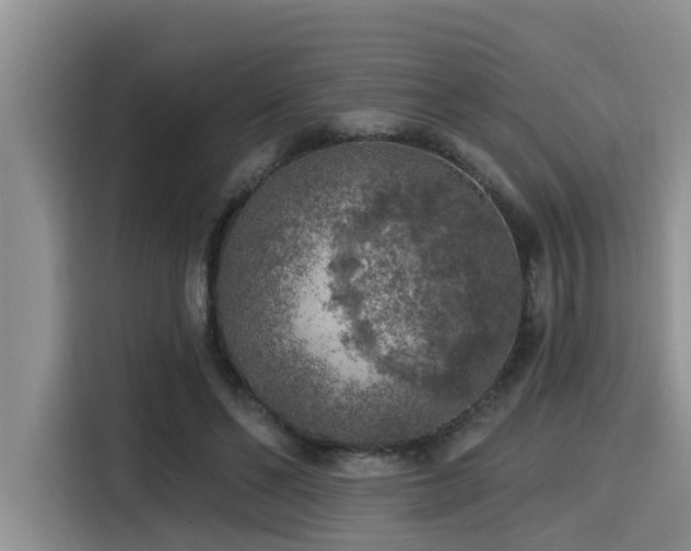 X0000115550494200911061536