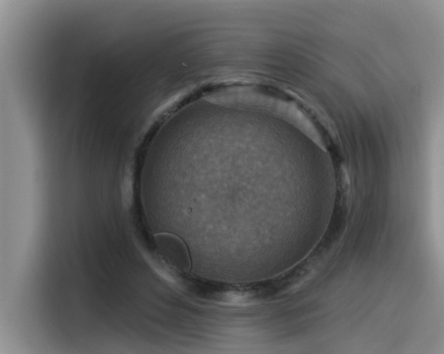 X0000115550496200911061536