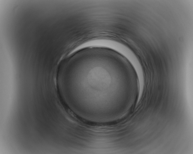 X0000115550500200911061536