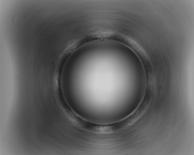 X0000115550501200911061536