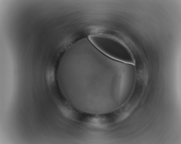 X0000115550504200911061536
