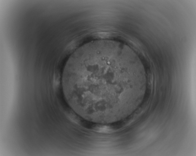X0000115550507200911061535