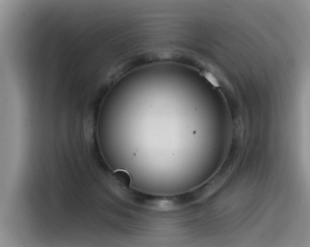 X0000115550509200911061535
