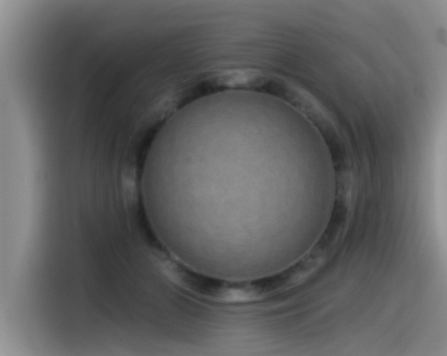 X0000115550510200911061535
