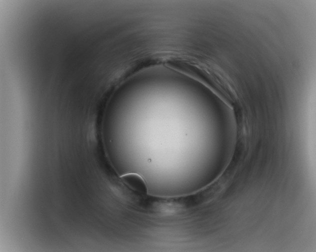X0000115550512200911061535