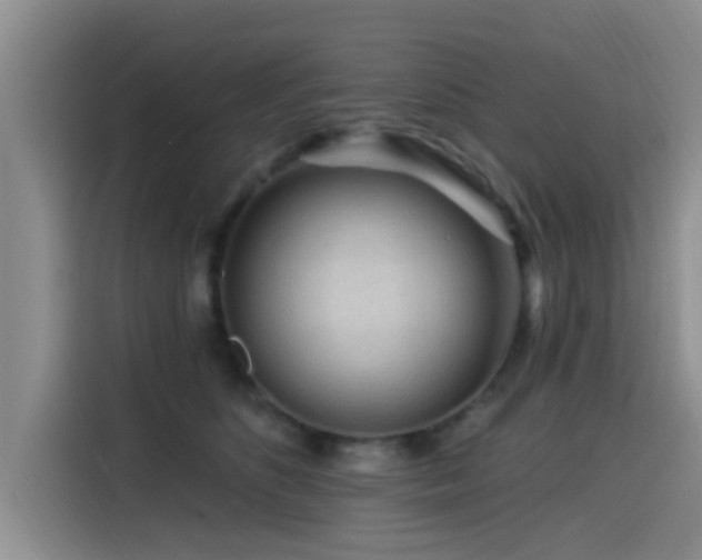 X0000115550516200911061535