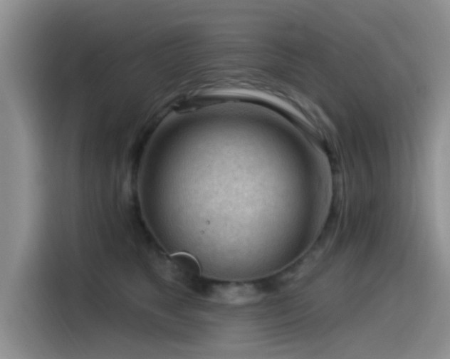 X0000115550517200911061535