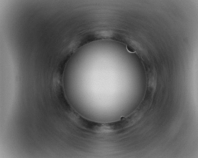 X0000115550518200911061535