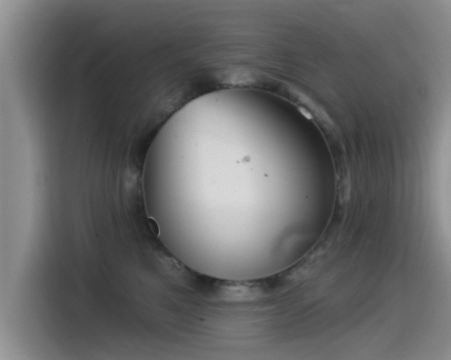 X0000115550521200911061535