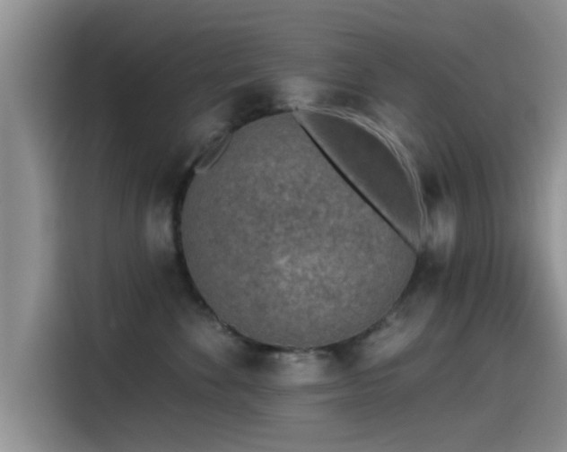 X0000115550524200911061535