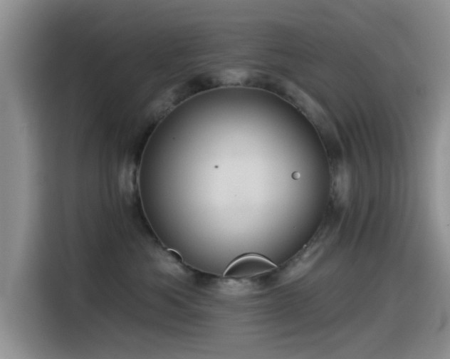 X0000115550525200911061535