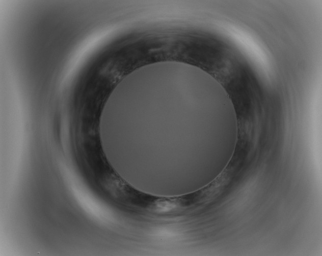 X0000115550526200911061535