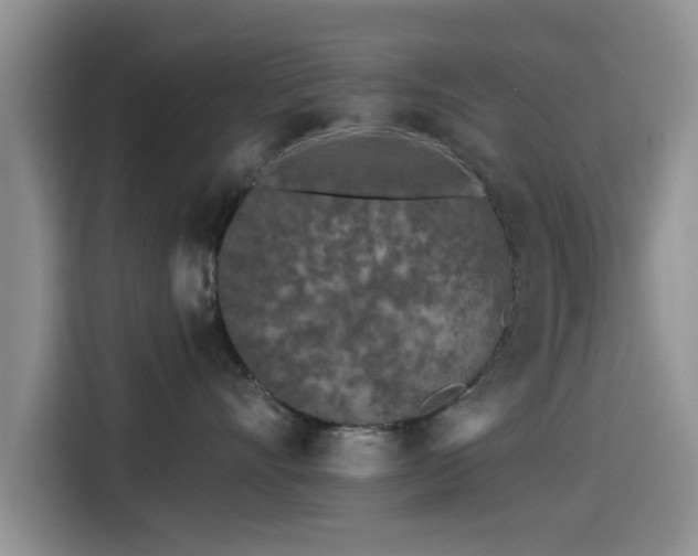 X0000115550528200911061535