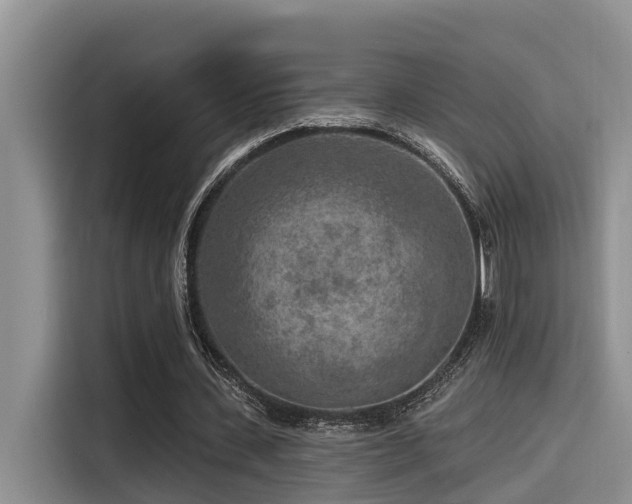 X0000115550531200911061535