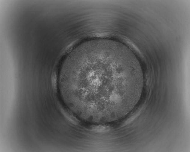 X0000115550542200911061535