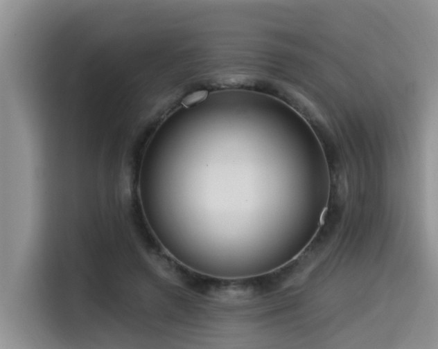 X0000115550546200911061535